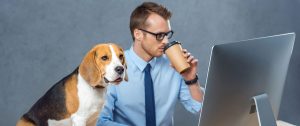 Evolving Employee Benefits: The Rise of ‘Pawternity’ and Elder Care Leave